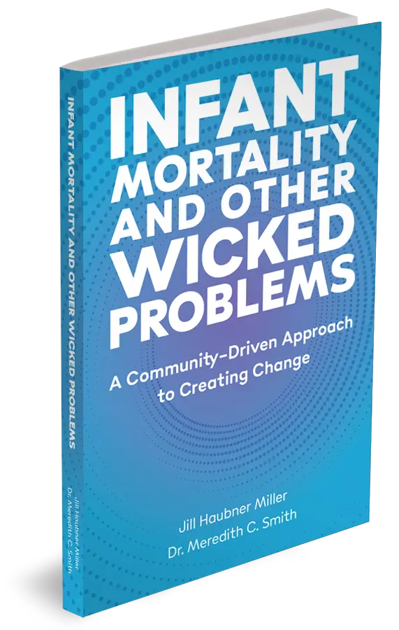 Infant Mortality and other wicked problems book cover